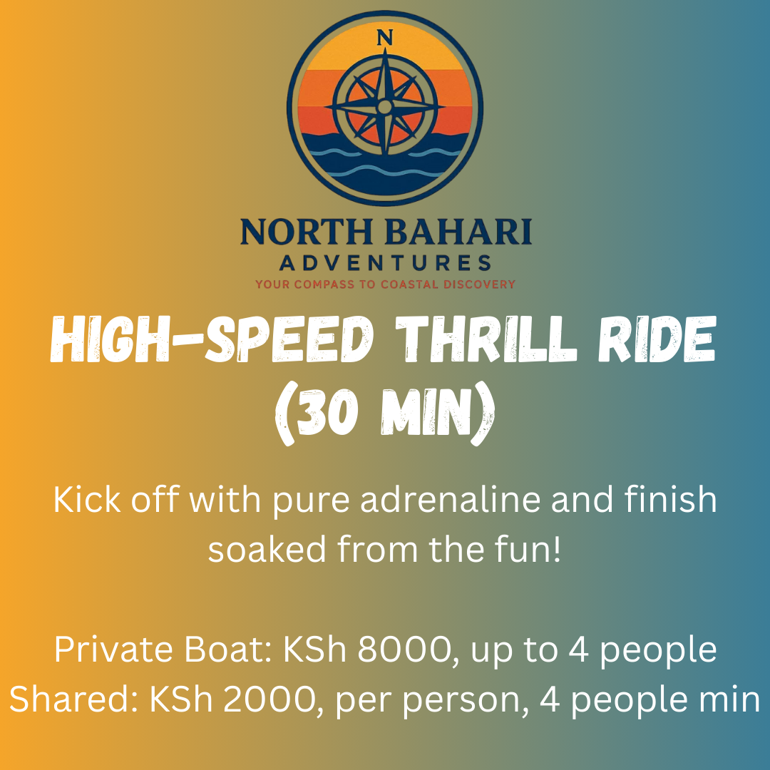 High-Speed Thrill Ride (30 min)