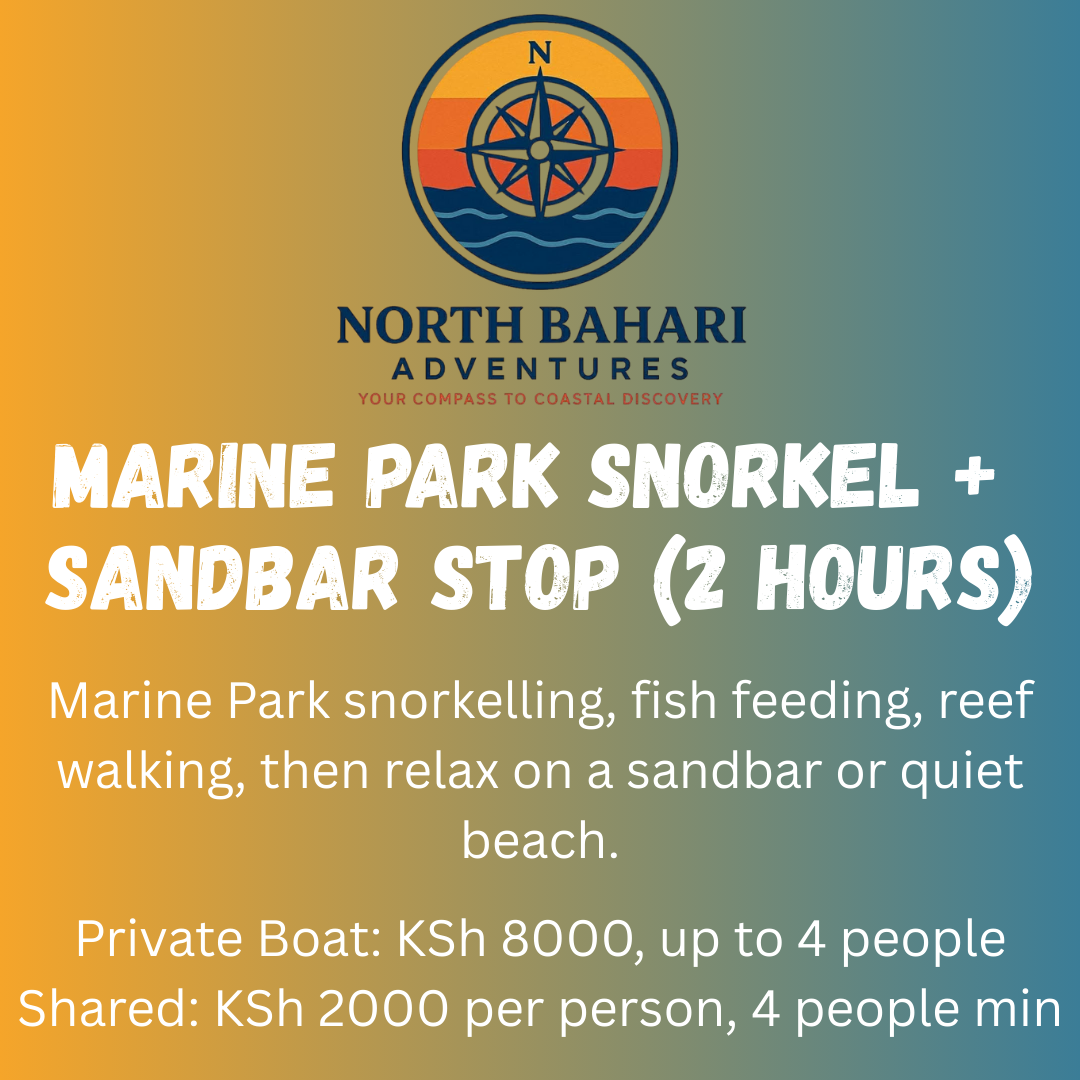 Marine Park Snorkel + Sandbar Stop (2 Hours)